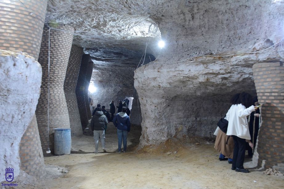 Alumnos y profesores de la UCLM visitan areneros en Tomelloso