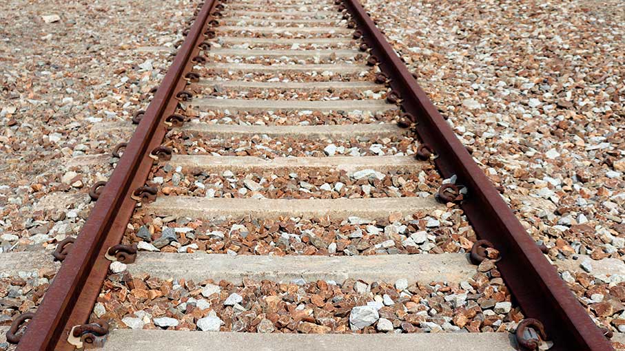 La Plataforma en Defensa del Ferrocarril Público y Social de Cuenca traslada al Parlamento Europeo la suspensión injustificada del servicio ferroviario en Cuenca