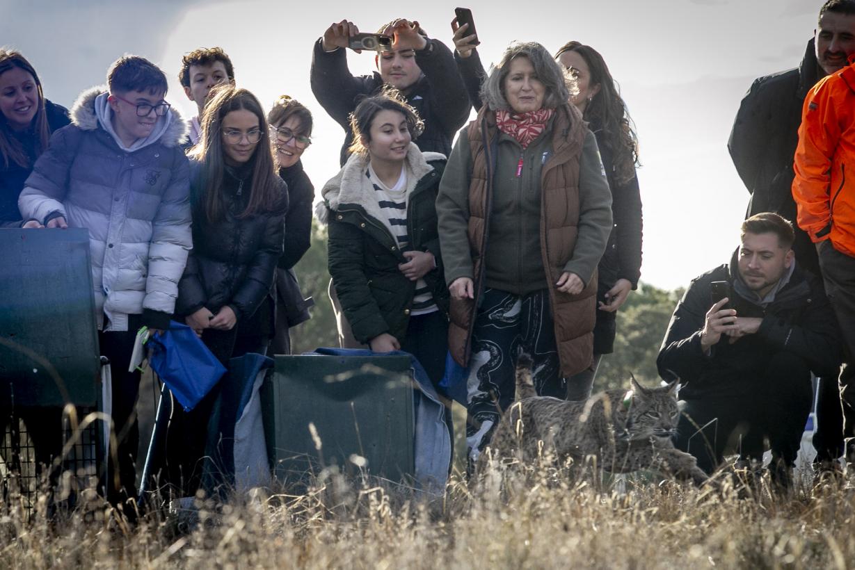 El Gobierno regional organiza actividades gratuitas y familiares el 1 y el 8 de marzo para dar a conocer la vida silvestre y la biodiversidad de Castilla-La Mancha