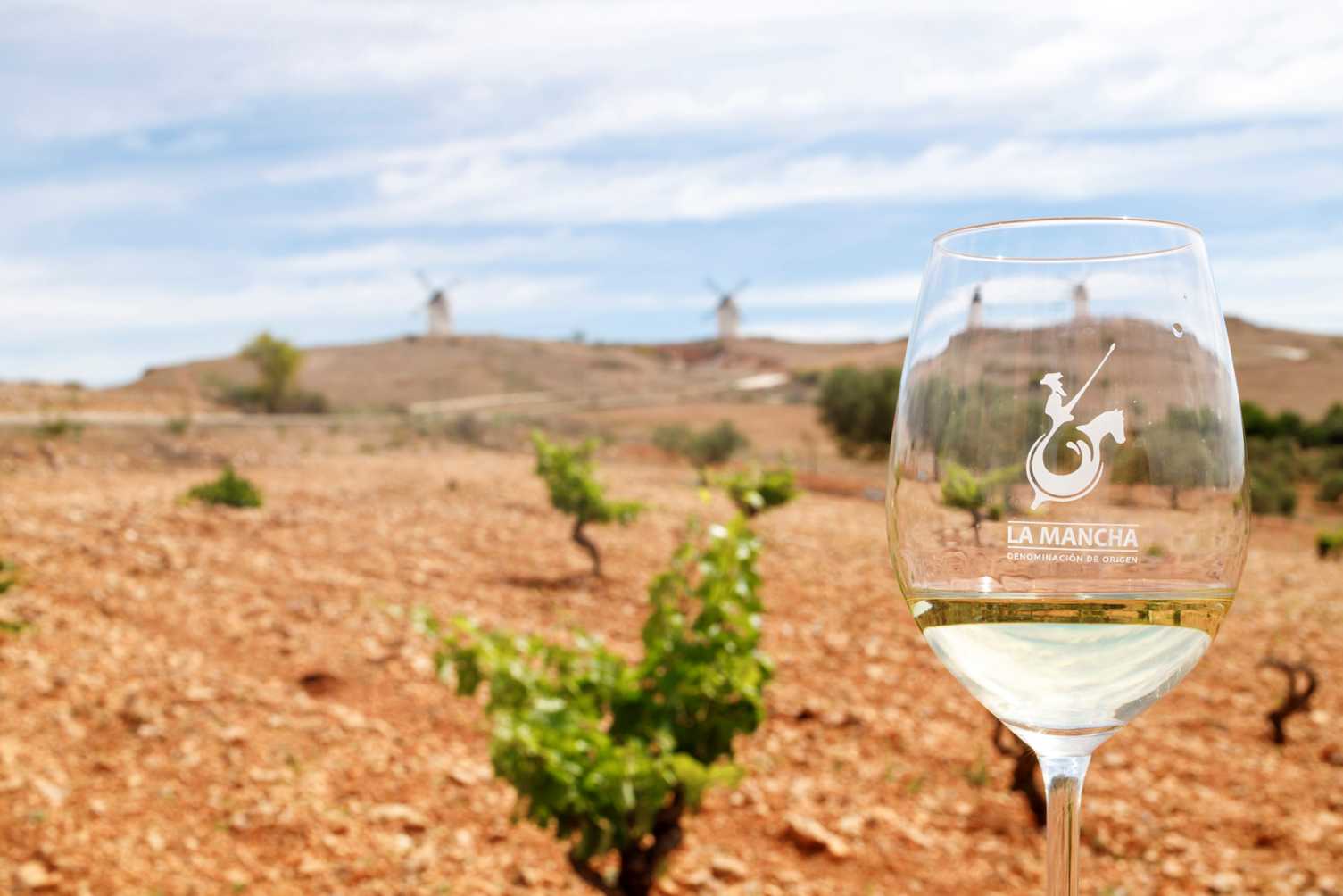 La comercialización de vinos con Denominación de Origen La Mancha se estabilizó en 2024