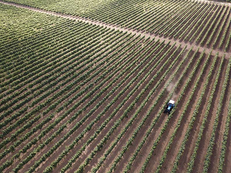 ASAJA celebra dos importantes avances legislativos como son la contratación temporal para campañas agrícolas y la doble tarifa eléctrica para el campo