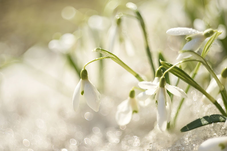 Cómo afecta psicológicamente el cambio de invierno a primavera