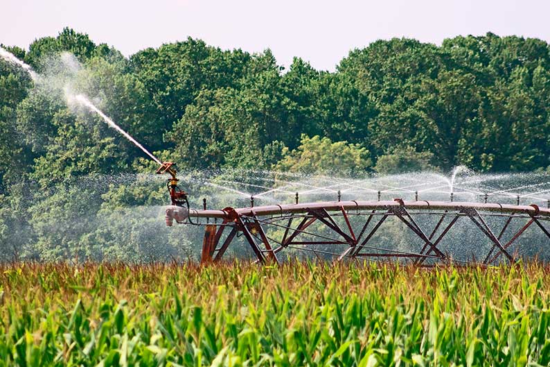 Internet de las cosas permite reducir hasta un 50% el consumo de agua en el riego agrícola