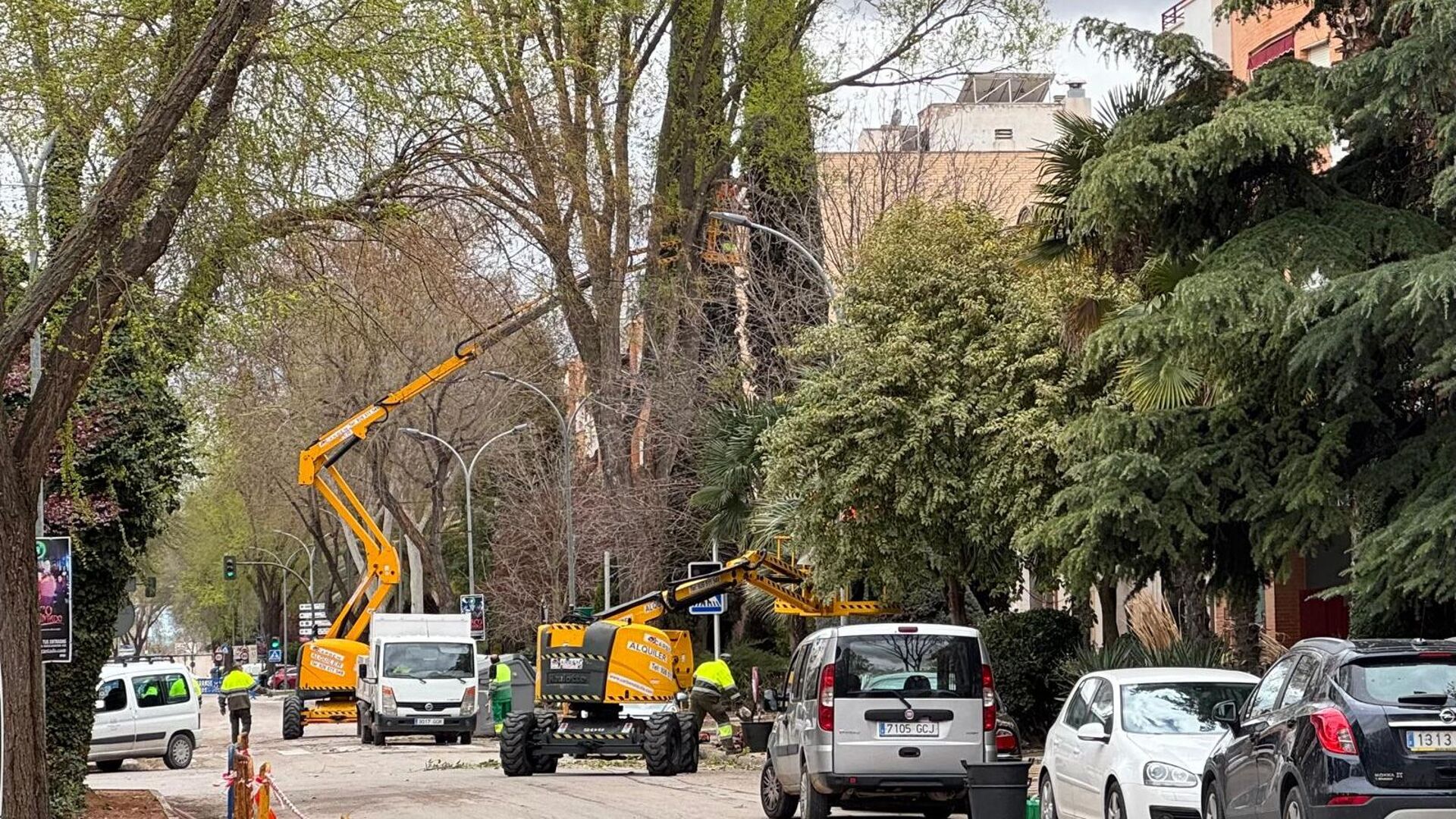 El PSOE de Tomelloso denuncia que las obras del Paseo San Isidro 