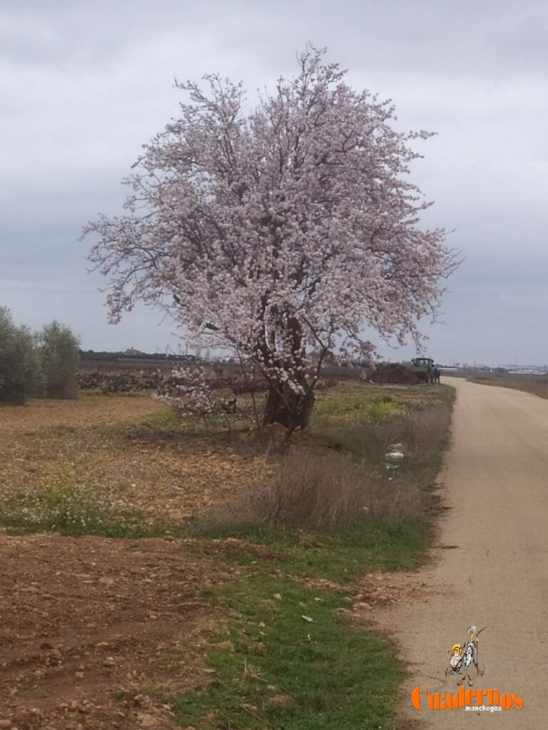 Ya llega la Primavera